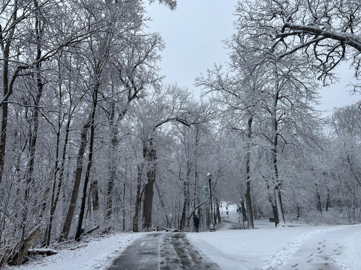 Frozen 1